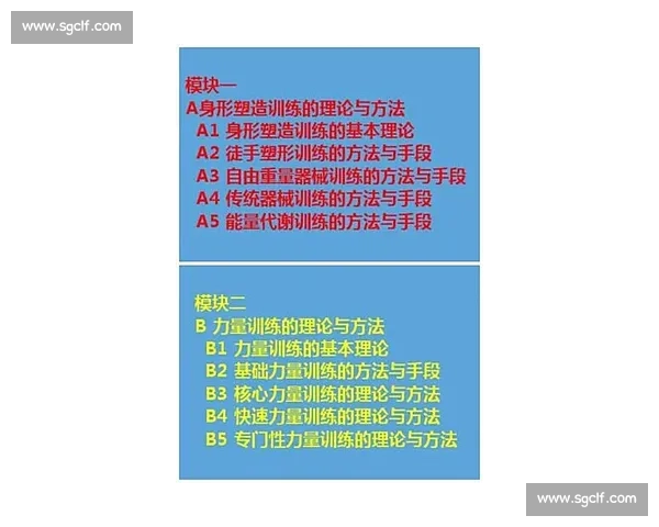 高水平体育竞赛训练方法与运动员体能技能全面提升研究 高水平体育竞赛训练方法与运动员体能技能全面提升研究